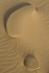 �������� ���������, ����������� ������, ��������