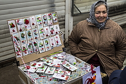 �������� �����. ���������� ��������, �������, �������