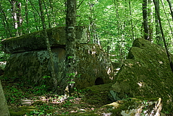 ������� ���������, ���������, �����