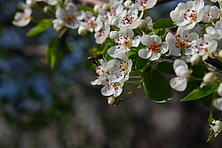 ����� �������� �����-�����