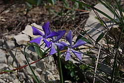 �������� �� ������ ������������ ������