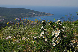 �������� �������� �� ���� ��������� �����, ���������, ������