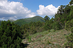  ����������� ������, ������, ������