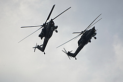 �������������� 2014 (���������)