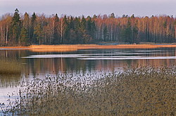 ���� �������, �. ������