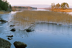 ���� �������, �. ������