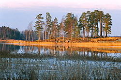 ���� �������, �. ������