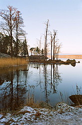 ���� �������, �. ������