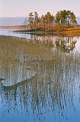 ���� �������, �. ������