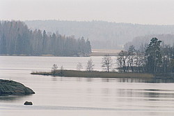 ���� �������, �. ������