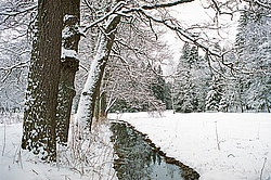 ���� �������, �. ������