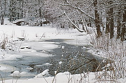 ���� �������, �. ������