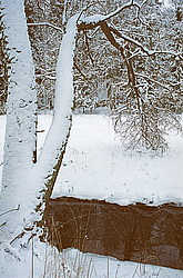 ���� �������, �. ������