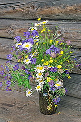 ����� ������� ������ � ������� �� ���������� ��������