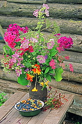 ����� ������� ������ � ������� �� ���������� ��������