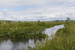 �������� ����. ���������� �����. ���� 2014. ����� ���� ������