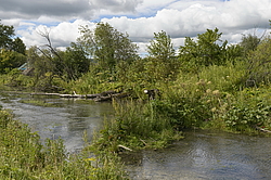 �������� ����. ���������� �����. ���� 2014, ���� �����. ����� ���� ������