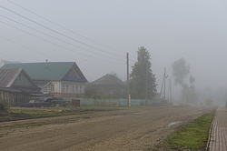 �������� ����. ���������� �����. ���� 2014. �������� ���� � ���� �����