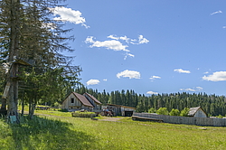 �������� ����. ����������� ����� ���� 2014. ������� ���� ������� ����