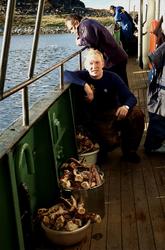 ���������� ���� (Paralithodes camtschaticus) � ��������� ����