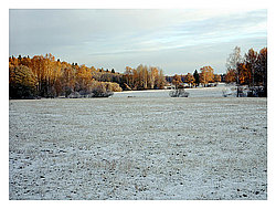 ��������-��������� ���������� ����������, ������