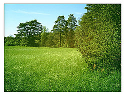 ��������-��������� ���������� ����������, ������