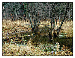 ��������-��������� ���������� ����������, ������