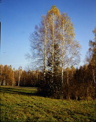 ������������� ������