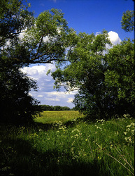 ������������� ������