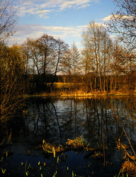 ������������� ������