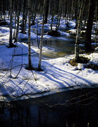 ������������� ������