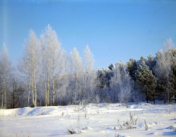 ������������� ������