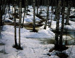 ������������� ������