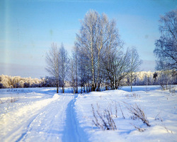 ������������� ������