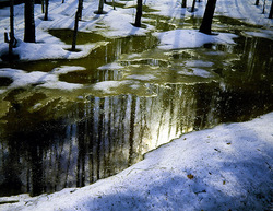 ������������� ������