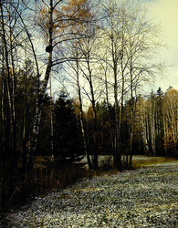 ������������� ������