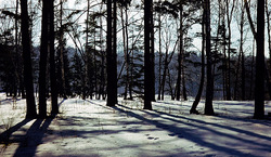 ������������� ������