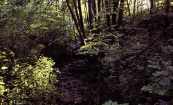 ������������� ������