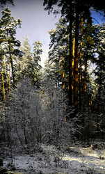 ������������� ������