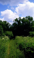 ������������� ������