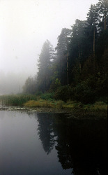 ������������� ������