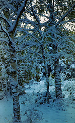 ������������� ������