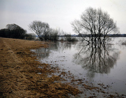 ������������� ������