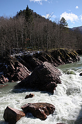 ���� �����, �������� �������, ������