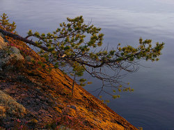 �������