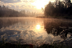 ������ ���� �� �������  ���������� ����