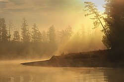 ������ ���� �� �������  ���������� ����