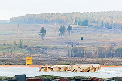 �������� ����������, ������ �����