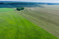 ��������� �������