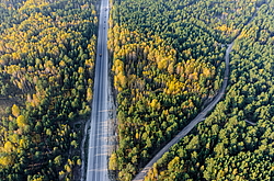 ��������� �������